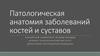 Патологическая анатомия заболеваний костей и суставов