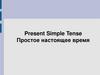 Present Simple Tense. Простое настоящее время. 2 класс