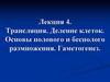 Трансляция. Деление клеток. Основы полового и бесполого размножения. Гаметогенез