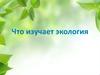 Что изучает экология. Развитие экологии как науки