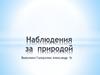 Наблюдения за природой. 5 класс
