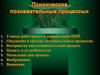 Психические познавательные процессы