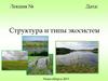 Структура и типы экосистем