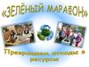 «Зелёный марафон»