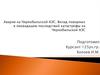 Авария на Чернобыльской АЭС. Вклад пожарных в ликвидацию последствий катастрофы на Чернобыльской АЭС