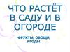 Что растёт в саду и в огороде