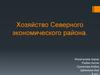 Хозяйство Северного экономического района