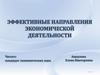 Эффективные направления экономической деятельности