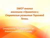 SWOT анализ  магазина «Орматек»; Стратегия развития Торговой Точки