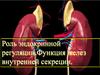 Эндокринная система. Роль эндокринной регуляции. Функция желез внутренней секреции