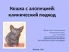 Кошка с алопецией: клинический подход