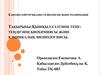 Қышқыл-сілтінің тепетеңдігінің биохимиясы және клиникалық физиологиясы