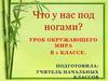 Что у нас под ногами (окружающий мир, 1 класс)