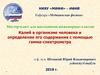 Калий в организме человека и определение его содержания с помощью гамма-спектрометра