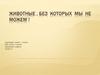 Значение млекопитающих в природе и хозяйственной деятельности человека