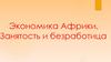 Экономика Африки. Занятость и безработица. Экономическая система в Африке