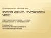 Влияние света на проращивание семян (часть 1)