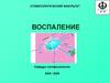 Воспаление. Причинные факторы воспаления (флогогены)