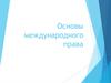Основы международного права