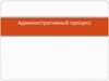 Административный процесс