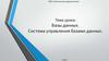 Базы данных. Система управления базами данных