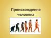 Происхождение человека. Положение человека в Природе