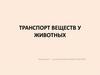 Транспорт веществ у животных