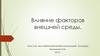 Влияние факторов внешней среды на собак