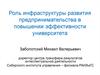 Роль инфраструктуры развития предпринимательства в повышении эффективности университета