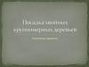 Посадка хвойных крупномерных деревьев