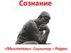 Сознание. Клинические наблюдения восстановления сознания