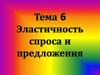 Эластичность спроса и предложения. Тема 6