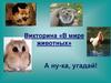 Викторина «В мире животных»