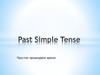 Past Simple Tense