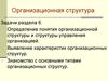 Организационная структура