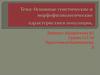 Основные генетические и морфофизиологические характеристики популяции