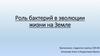 Роль бактерий в эволюции жизни на Земле