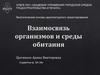 Взаимосвязь организмов и среды обитания