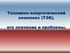 Топливно-энергетический комплекс (ТЭК), его значение и проблемы