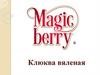 Клюква вяленая Magic Berry®, ООО ЛатвБелФрутс