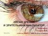 Орган зрения и зрительный анализатор