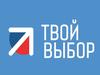 Всероссийская кампания по организации всеобщих выборов председателей студенческих советов «Твой выбор»
