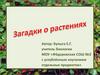 Загадки о растениях