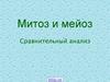Митоз и мейоз. Сравнительный анализ