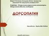 Дорсопатия туралы түсінік