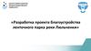 Разработка проекта благоустройства ленточного парка реки Люльченки