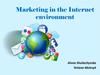 Marketing in the Internet environment