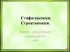 Стафилококки. Стрептококки