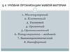 Уровни организации живой материи