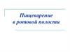 Пищеварение в ротовой полости